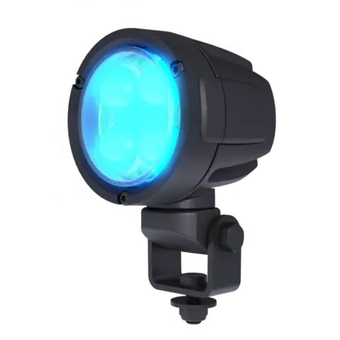 TYRI ARB LYS D8 BLUEPOINT
